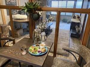   at Neu Cat Cafe in Osaka