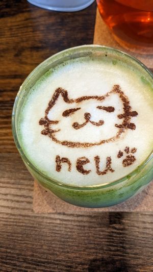  at Neu Cat Cafe in Osaka