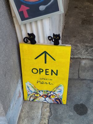  at Neu Cat Cafe in Osaka