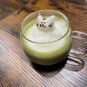 Cat matcha  at Neu Cat Cafe in Osaka