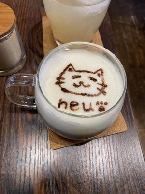   at Neu Cat Cafe in Osaka