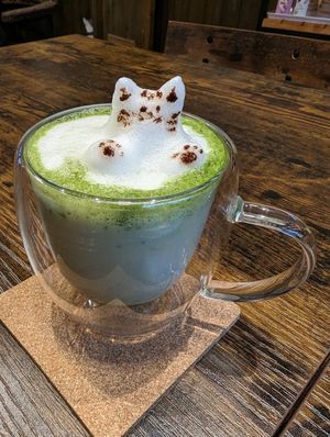 Matcha latte with soy milk at Neu Cat Cafe in Osaka