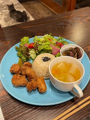   at Neu Cat Cafe in Osaka