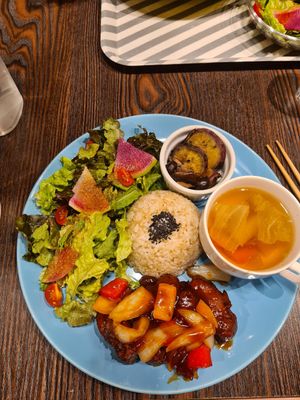  at Neu Cat Cafe in Osaka