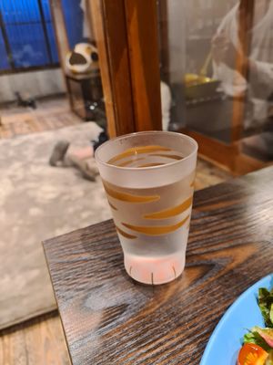  at Neu Cat Cafe in Osaka