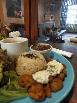  at Neu Cat Cafe in Osaka