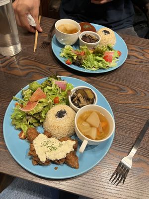   at Neu Cat Cafe in Osaka