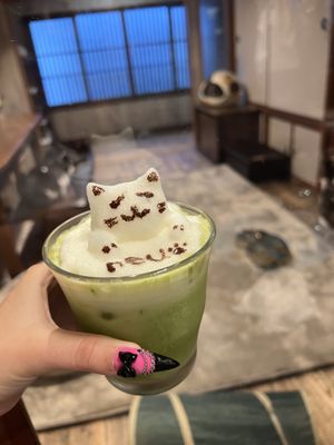  at Neu Cat Cafe in Osaka