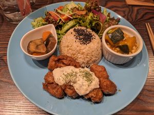  at Neu Cat Cafe in Osaka