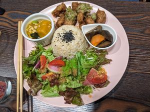  at Neu Cat Cafe in Osaka