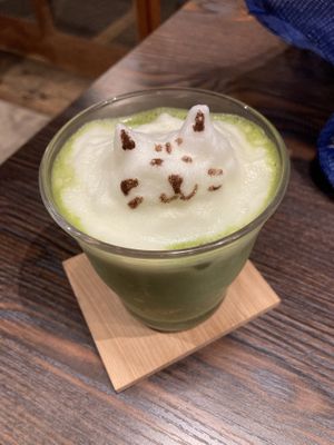   at Neu Cat Cafe in Osaka