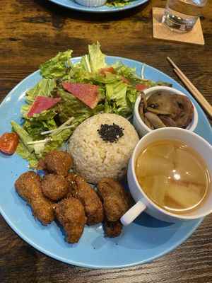   at Neu Cat Cafe in Osaka