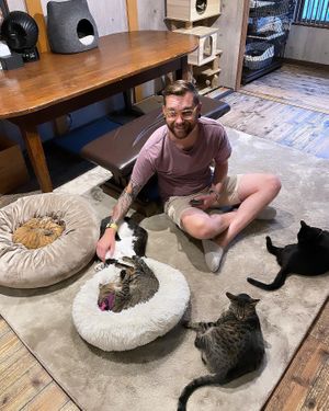 Top cat room outside eating area  at Neu Cat Cafe in Osaka