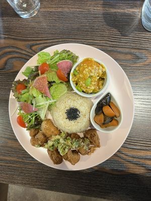   at Neu Cat Cafe in Osaka