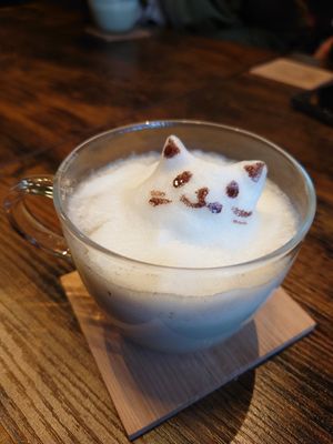  at Neu Cat Cafe in Osaka