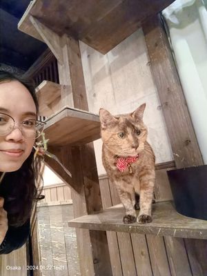 #Veganuary at Neu Cat Cafe in Osaka