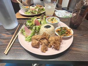   at Neu Cat Cafe in Osaka