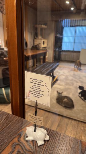 Dentro do refeitório   at Neu Cat Cafe in Osaka