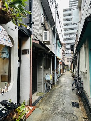   at Neu Cat Cafe in Osaka