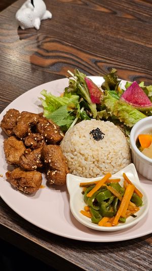  at Neu Cat Cafe in Osaka