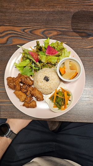  at Neu Cat Cafe in Osaka