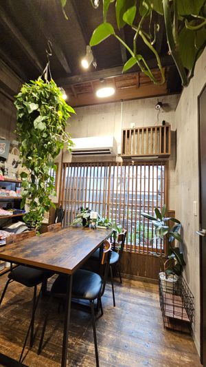  at Neu Cat Cafe in Osaka