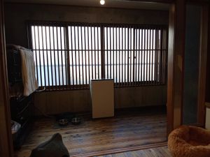 Upper Floor Interior. at Neu Cat Cafe in Osaka