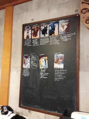 Cat Info Board. at Neu Cat Cafe in Osaka