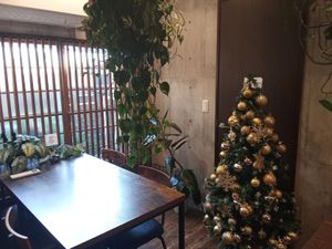 Eating Area. at Neu Cat Cafe in Osaka