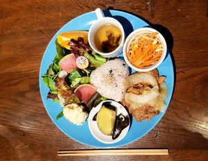 Vegan food option at Neu Cat Cafe in Osaka