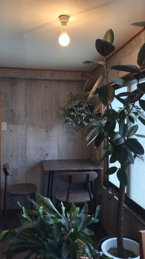 Side dining spot (1/3)  at Neu Cat Cafe in Osaka