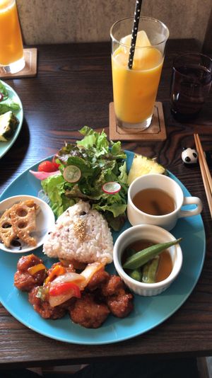 10/10 food at Neu Cat Cafe in Osaka