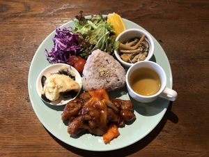 Set meal - absolutely delicious  at Neu Cat Cafe in Osaka