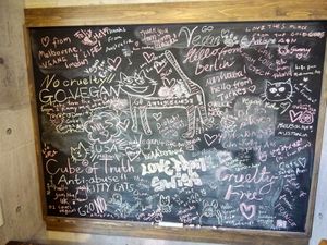 Many vegan foreign tourists visited this place. at Neu Cat Cafe in Osaka