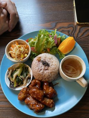 Lunch plate with sweet and sour soy meat at Neu Cat Cafe in Osaka