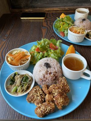 Lunch plate with sweet soy meat at Neu Cat Cafe in Osaka