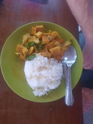 Fried tofu curry at Nok's Kitchen in Koh Phangan