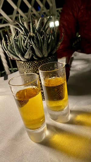 tasty libations for the meal at Hotel Raphael in Rome