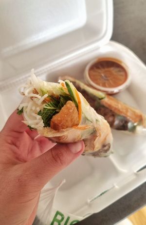 Goi Cuon Chay (spring roll) at Mr. Nam  in Vienna