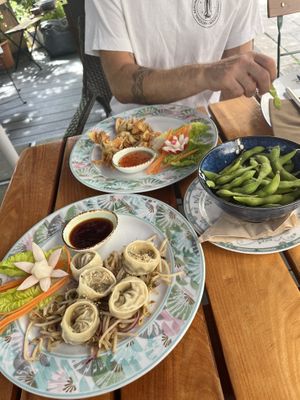 Gyoza, wantan and edmame  at Vegan Chay in Munich
