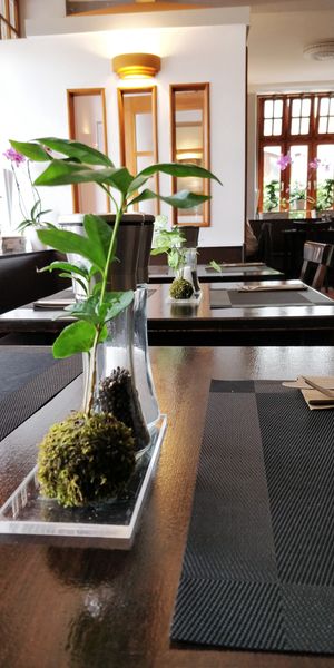 Interior at Vegan Chay in Munich