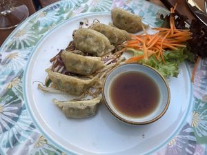 Gyoza  at Vegan Chay in Munich
