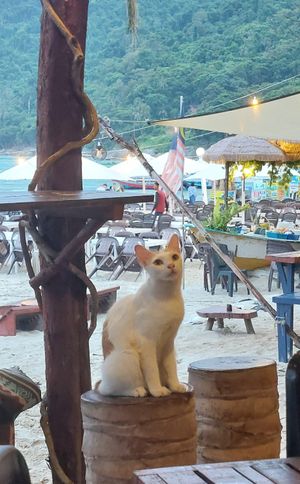  at Chillout Cafe & Craft in Perhentian Islands