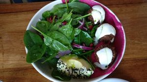 Falafel bowl (freshly made, green inside) at Wholesome Eatery Cafe in Manly