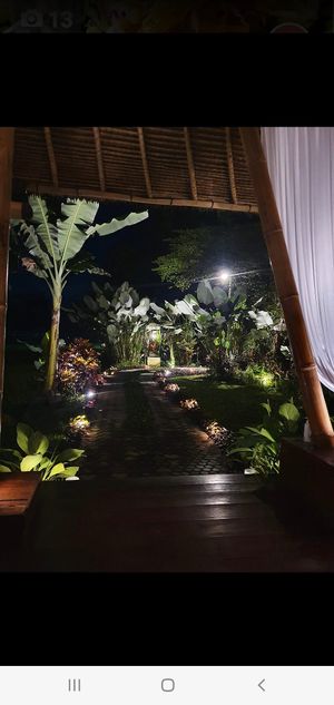  at Sacred Rice in Ubud