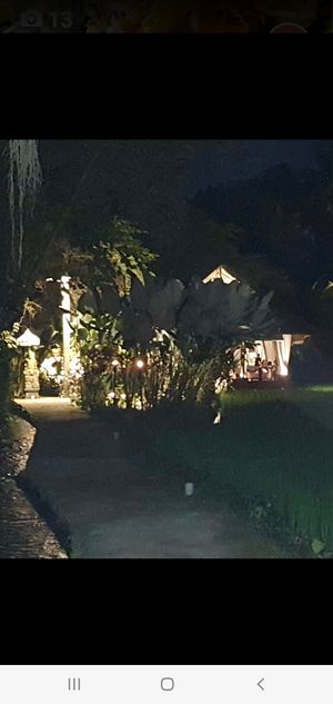  at Sacred Rice in Ubud