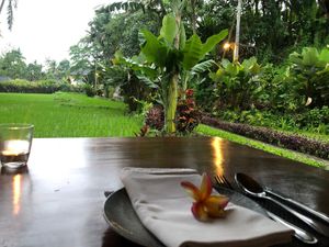Vegans get the best view :) at Sacred Rice in Ubud