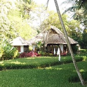 Nestled in our very own organic rice fields. at Sacred Rice in Ubud