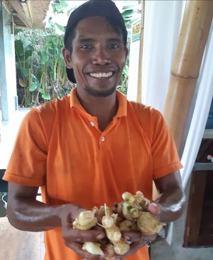 Fresh garlic from the garden!  at Sacred Rice in Ubud