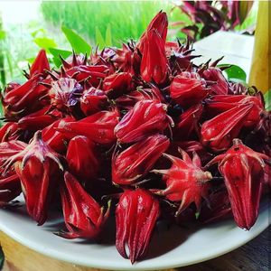 
Rosellas. Fresh picked for savory and sweet dishes.  at Sacred Rice in Ubud